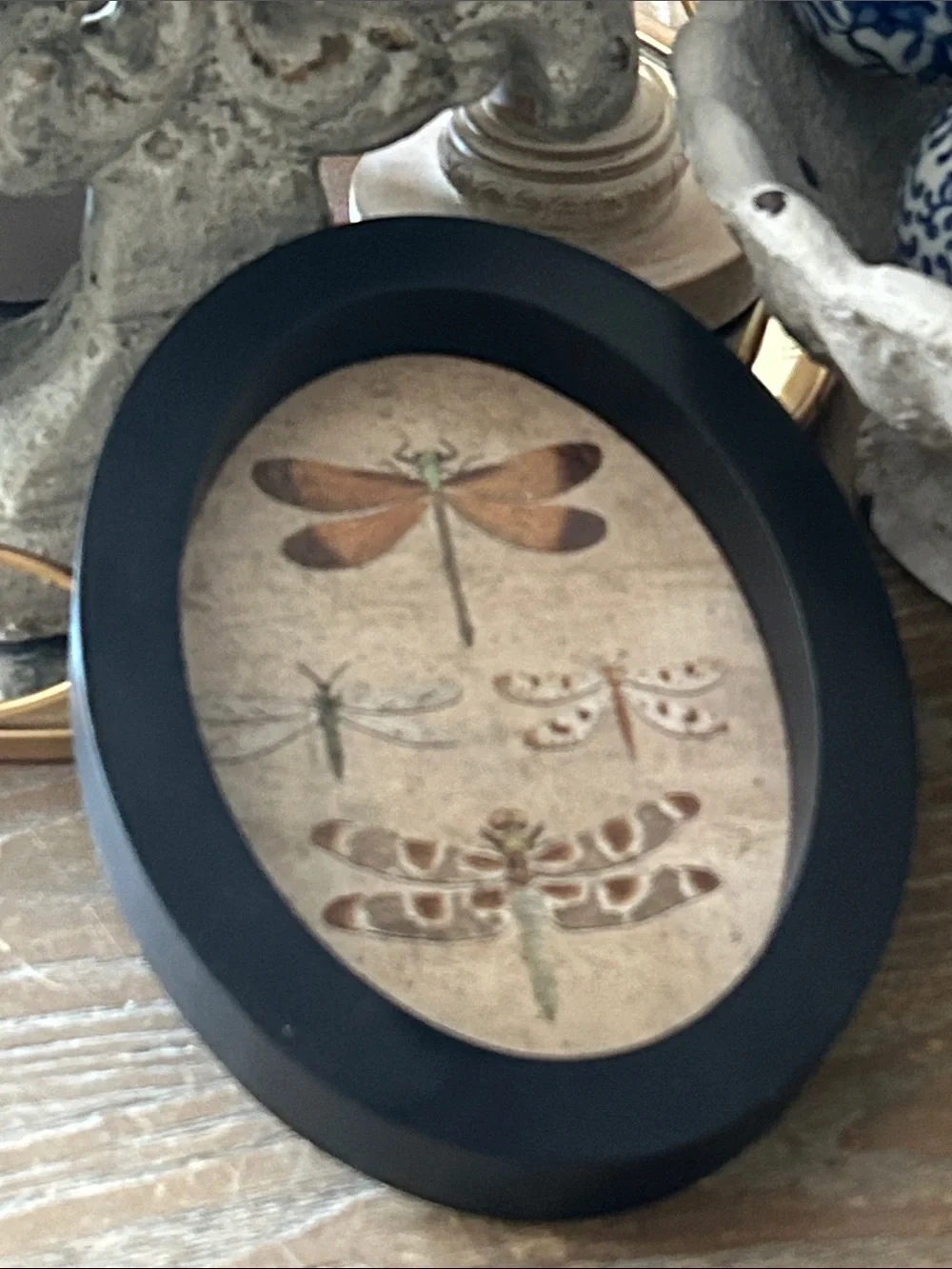 NEW! Vintage Inspired Shabby Chic Black Oval Cameo Dragonfly Wall Art
